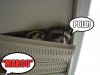 IMG_6220.jpeg