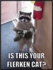 real-life-rocket-is-way-too-creepy.png