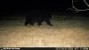 IMG_2873.jpeg