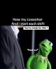 IMG_2766.jpeg
