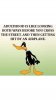 IMG_2779.jpeg