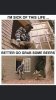 IMG_2786.jpeg
