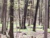 20250505_111329.jpg