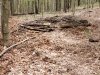 20250505_125541.jpg