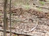 20250505_125533.jpg