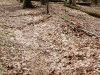 20250505_125515.jpg