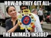 IMG_2817.jpeg