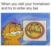 IMG_2853.jpeg
