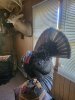 20250516_085929.jpg