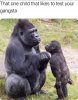 IMG_2913.jpeg
