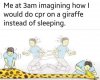 IMG_2915.jpeg