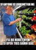 IMG_2936.jpeg