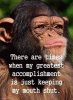 IMG_2964.jpeg