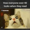 IMG_2977.jpeg