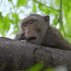 upload_2025-5-24_13-41-36.gif