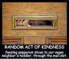upload_2025-5-24_19-31-10.png