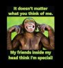 IMG_3066.jpeg