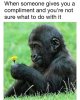 IMG_3068.jpeg