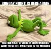 IMG_3072.jpeg