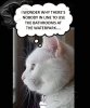 IMG_3074.jpeg