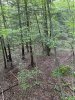 D35644EE-C7B0-4223-B028-D2F671731512.jpeg