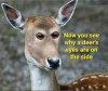 IMG_3087.jpeg