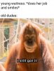 IMG_3106.jpeg