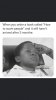 IMG_3131.jpeg