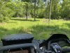 IMG_3590.jpeg