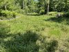 IMG_3593.jpeg