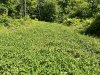 IMG_3595.jpeg