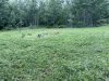 IMG_3607.jpeg