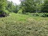 IMG_3616.jpeg