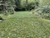 IMG_3613.jpeg