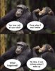 IMG_3232.jpeg
