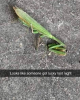 IMG_3242.png