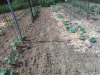 1000000656.jpg