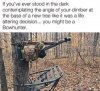 IMG_3278.jpeg