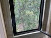 IMG_3638.jpeg
