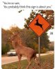 IMG_3310.jpeg
