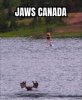 IMG_3311.jpeg