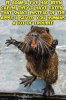 IMG_3377.jpeg
