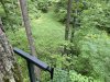 IMG_3693.jpeg