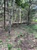 IMG_3690.jpeg