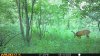MUD_4960.JPG