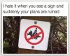 IMG_3409.jpeg