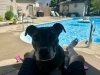 IMG_3654.jpeg