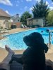 IMG_3653.jpeg