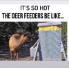 FB_IMG_1752954407093.jpeg