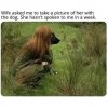 IMG_3428.jpeg